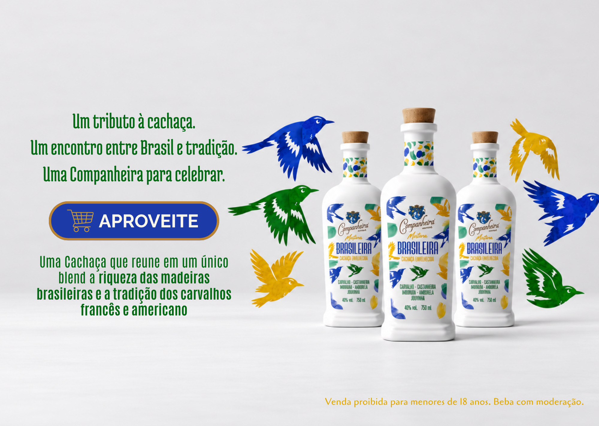MOBILE LANÇAMENTO COMPANHEIRA